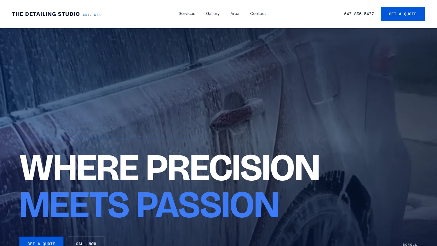 The Detailing Studio homepage hero — Greater Toronto Area mobile detailing precision layout
